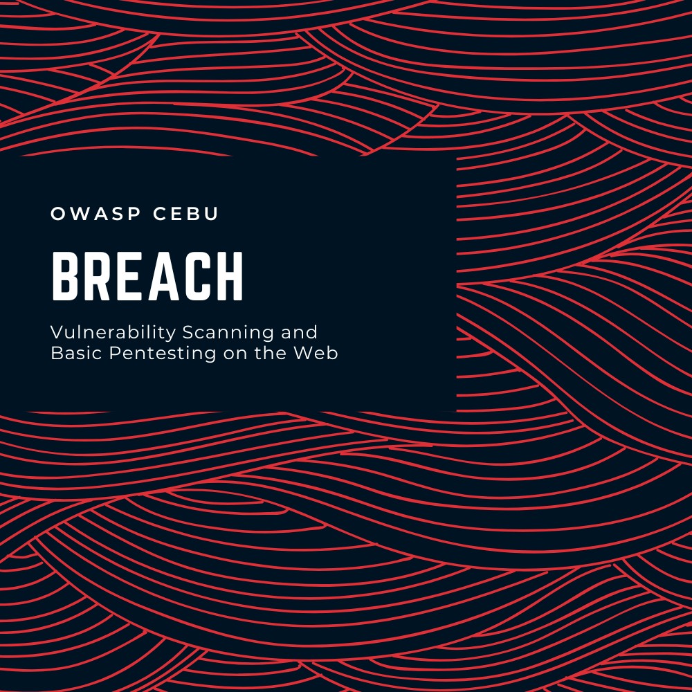 BREACH: Vulnerability Scanning and Basic Pentesting on the Web